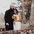 Shaileen DeOliveira's profile image