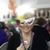 Allison Thomas Squires's profile image