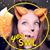 Carolyn Snoke's profile image