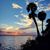 Vicki Steidl's profile image