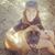 Emily Plumb's profile image