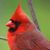 Nancy J. Miller's profile image