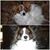 Teresa Wohlford's profile image