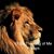 Serge Martin's profile image