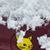 Valerie Whipp's profile image