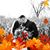 Dustin Miller's profile image