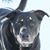 Tammy J Mankey's profile image