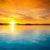 Barb Dorn's profile image