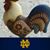 Brenna Biesbrouck's profile image