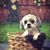 Rachel Chadwell's profile image