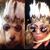 Jill Beaulieu's profile image