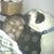 Cathy Goldielocs Ponds's profile image