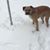 David Reiman's profile image