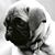 Greta Stroope Skogseth's profile image