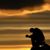 Gary Dobson's profile image