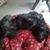 Zoey Beth's profile image