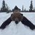 John McCollum's profile image