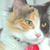 Rebecca Proffitt's profile image