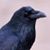 Terri Turner's profile image