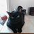 Michelle Chaparro- Embry's profile image