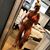 Alexis Romolo's profile image