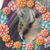Anette Boyles Rodriguez's profile image