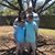 Christy Veara McKeel's profile image