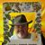 Randy Stiles's profile image