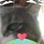LPatricia Baruch's profile image
