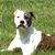 Chuck Buckalew's profile image