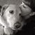 Jennifer Kayser's profile image