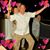 Bill Rousseau's profile image
