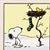 Deb Thomson's profile image