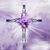 Darla Roberts's profile image