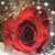 Karla Ferreira's profile image