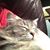 Lisa Marie's profile image