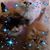 Sheila Hulings's profile image