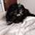 Judie Bowley's profile image