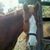 Dottie Griffiths Hawkins's profile image