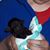Arleen P. Wilson's profile image