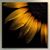 Karen Parker's profile image