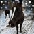 Connie Priddy's profile image