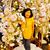 Judy Fusco's profile image
