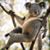 Jennifer Hudgins's profile image