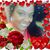 Jessica Savage's profile image