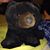 Susan Earp Ault's profile image