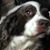 Bonnie Endicott's profile image