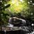 Melinda Herrin's profile image