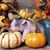Cathy Jo Gard's profile image