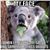 Nicole Tres's profile image